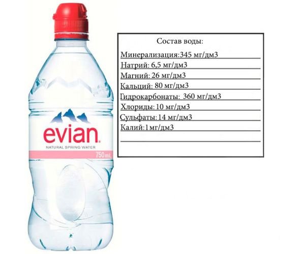 Спорт