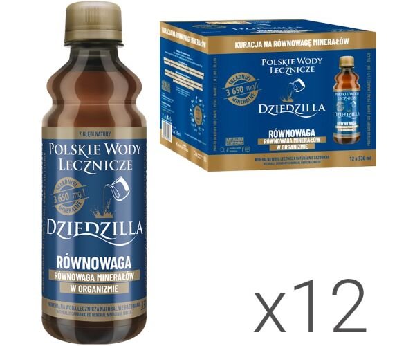 PWL Dziedzilla Równowaga