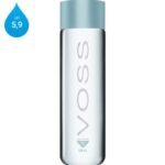 Voss