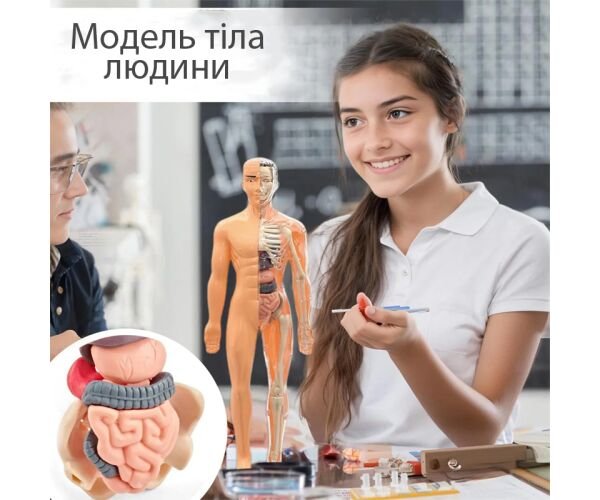 Іграшка-манекен для вивчення анатомічної структури людини Іграшка-манекен для вивчення анатомічної структури людини