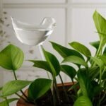 Колба для крапельного поливу рослин Пташка