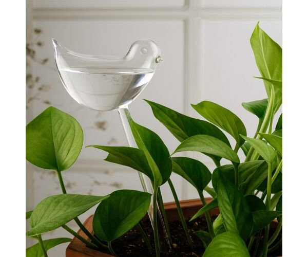 Колба для крапельного поливу рослин Пташка