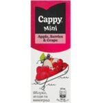 Cappy mini Apple-Berries-Grape