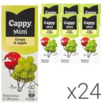 Cappy mini Grape Apple