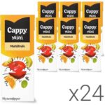 Cappy Mini Multifruit