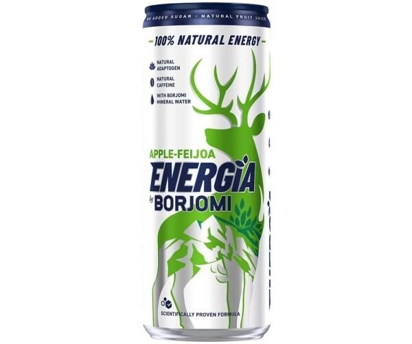 Borjomi Energia