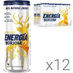 Borjomi Energia